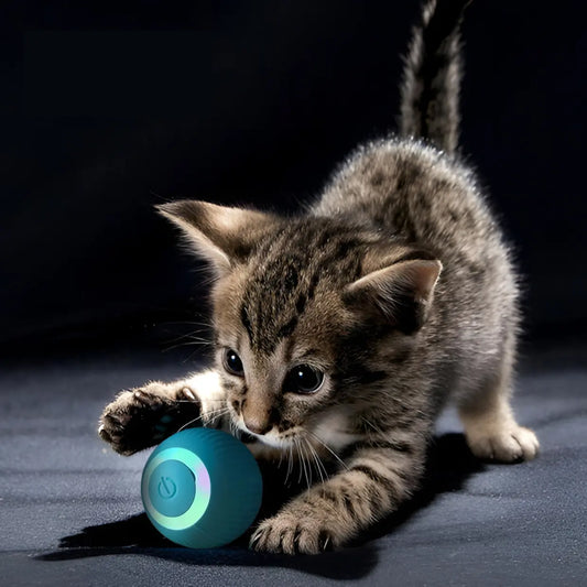 CatBall© - Juguete Pelota Interactiva Para Gatos